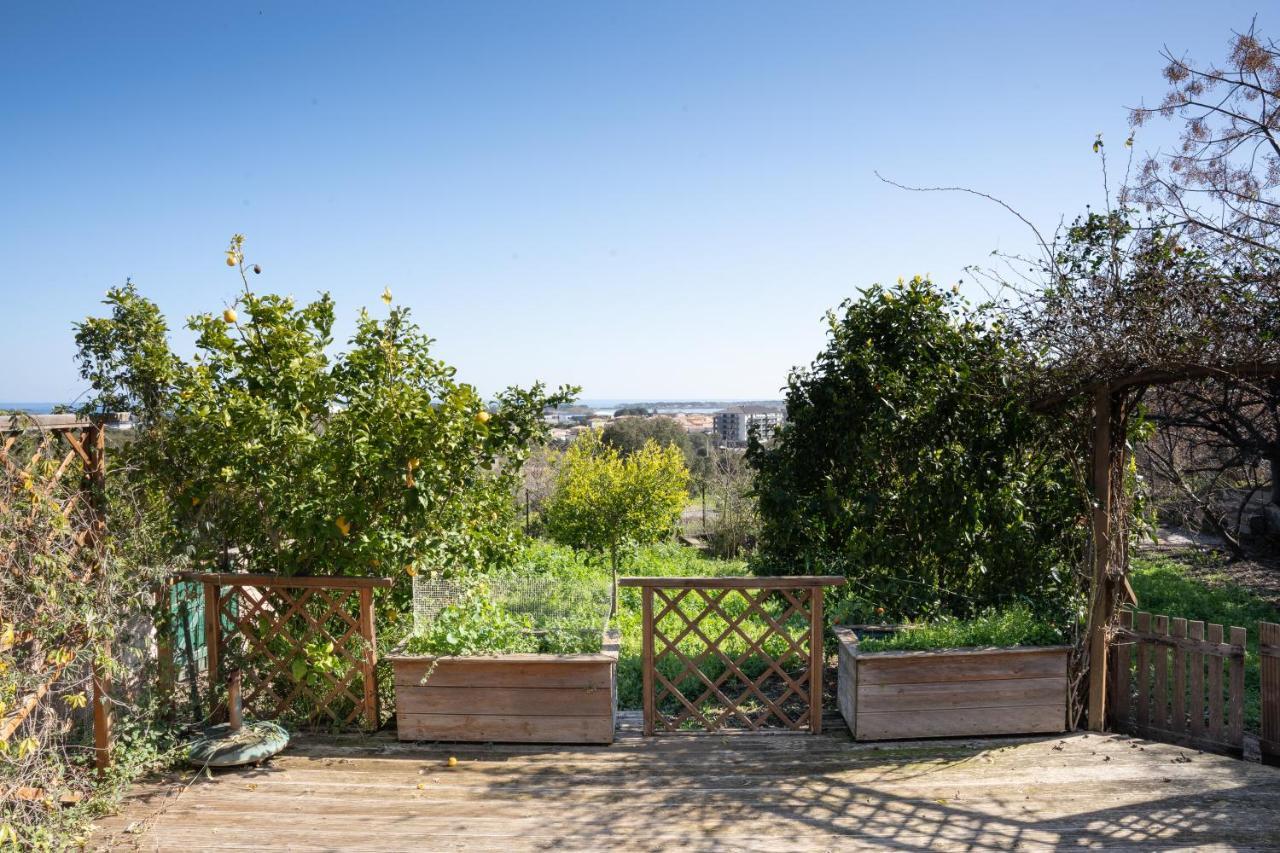 Corsica Fiurita Apartamento Furiani Exterior foto